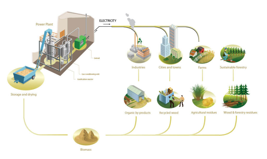 How is Sugar Cane Used to Generate Electricity? (Bagasse Power Plant in Pakistan)